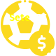 Aposte em esportes do mundo todo no Sete777!